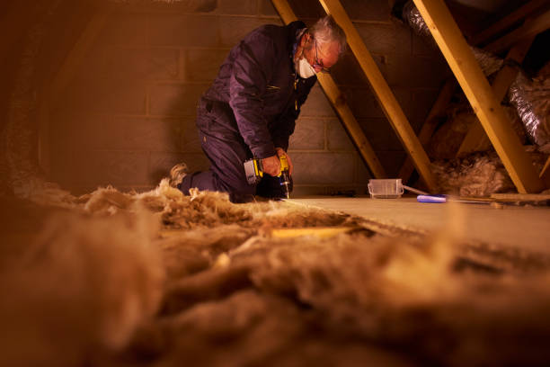 Best Eco-Friendly or Green Insulation Solutions  in Thompson, ND